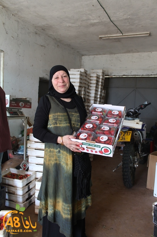 a7bab aqsa farawla (41).JPG